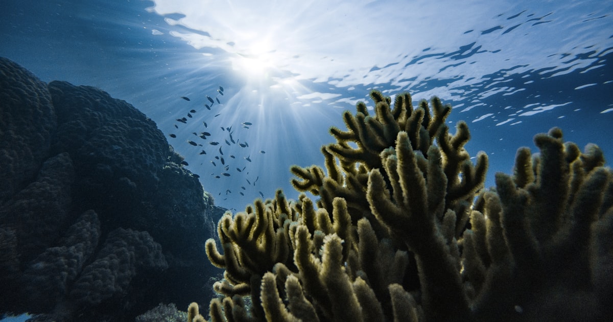 Misterios do Oceano Profundo
